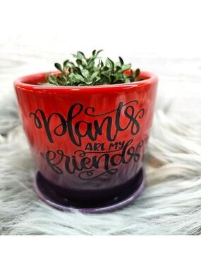 🌞2 for $20🌞Funny sayings plant pot